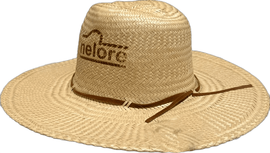 Chapéu social Indiana Jones